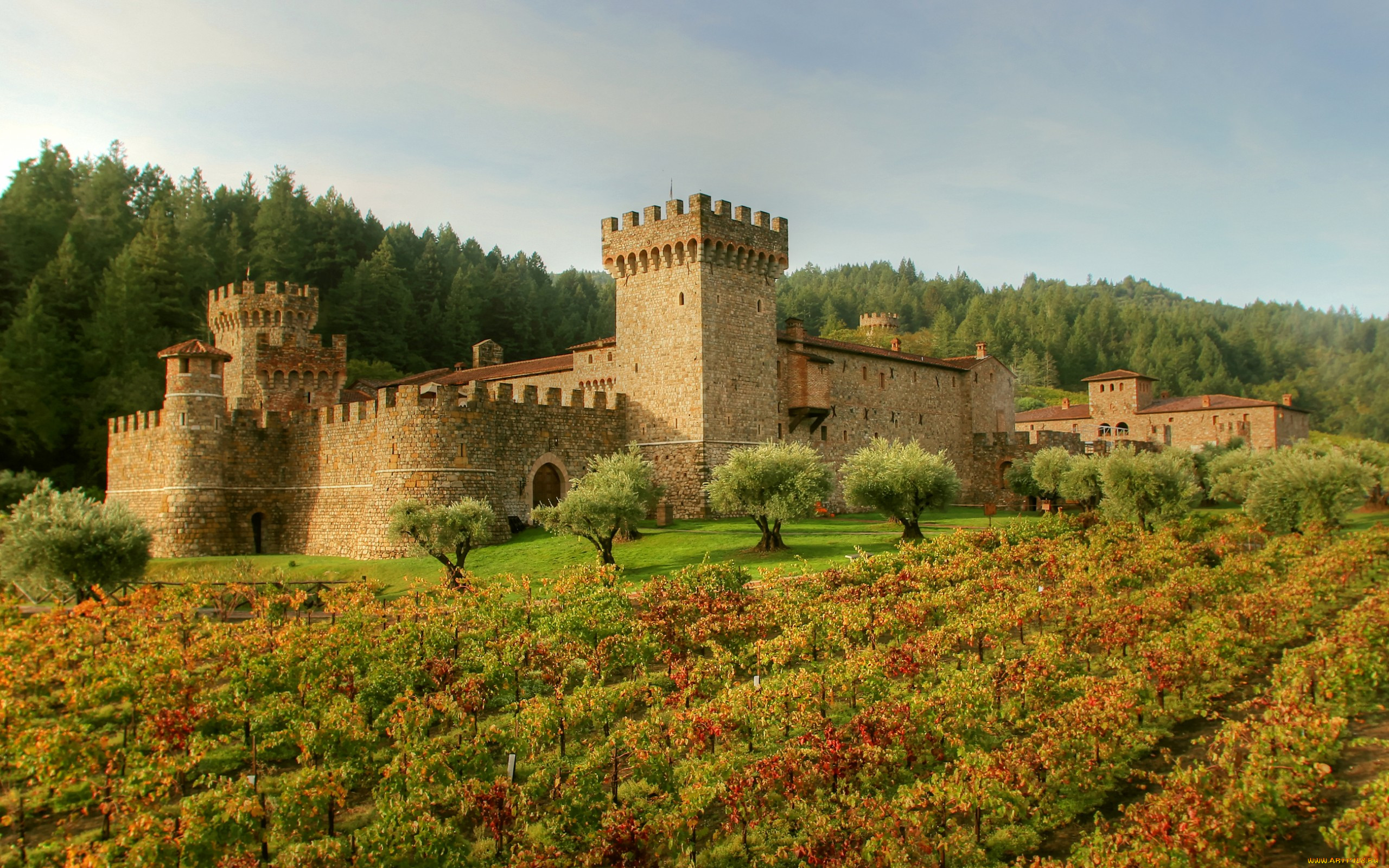 ,  , castello, di, amorosa, , , , , , , tuscany, , 